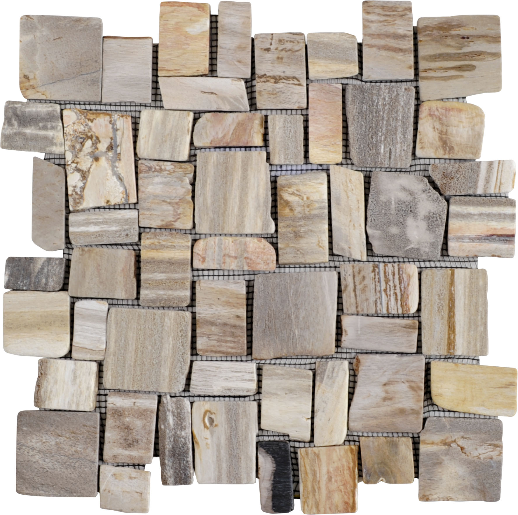 Cubic Fossil Wood Stone Mosaic | In Home Stone
