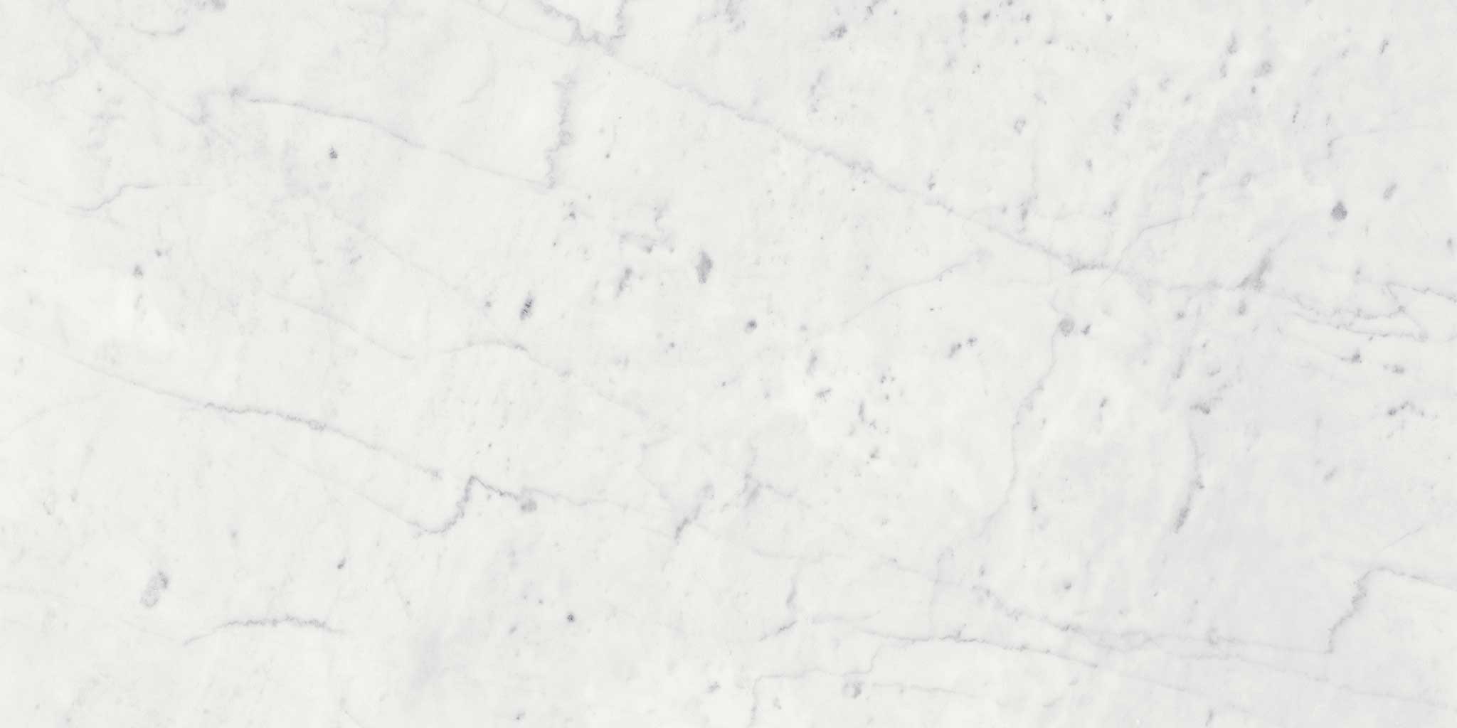 Eterna Bianco 24x24 Honed | In Home Stone