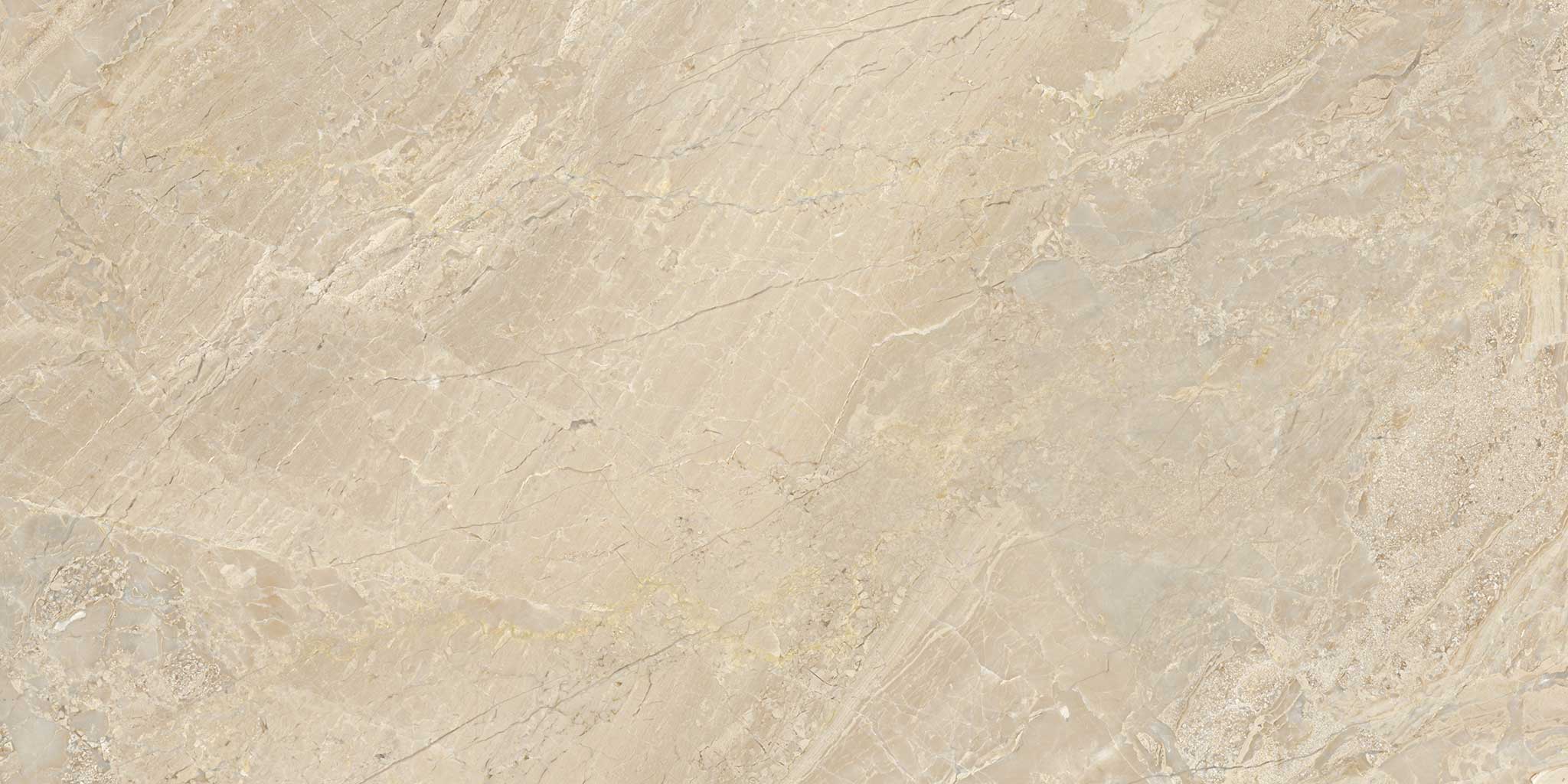 Impero Reale 12x24 Polished | In Home Stone