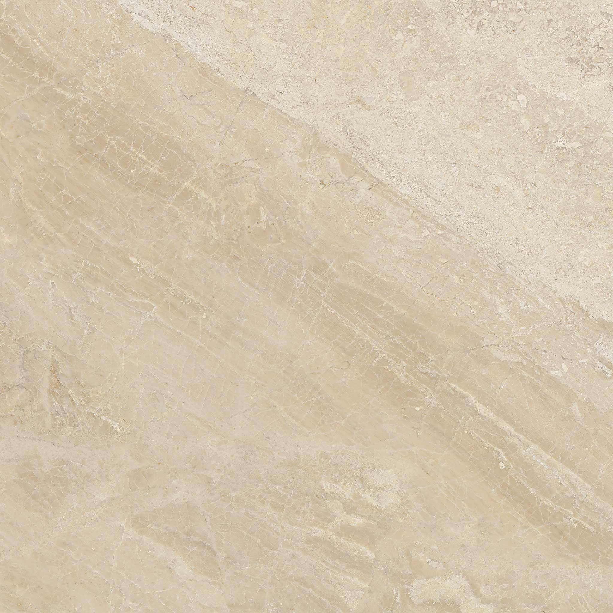 Impero Reale 24x24 Polished | In Home Stone