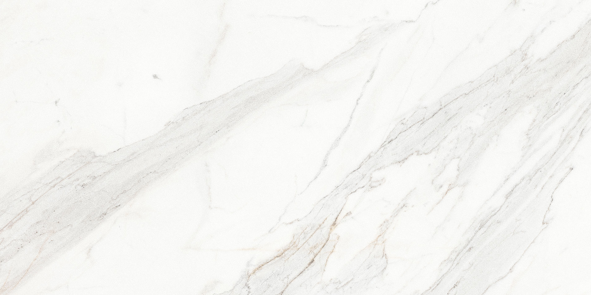 Royal Stoneworks 24X48 Crown Calacatta Honed | In Home Stone