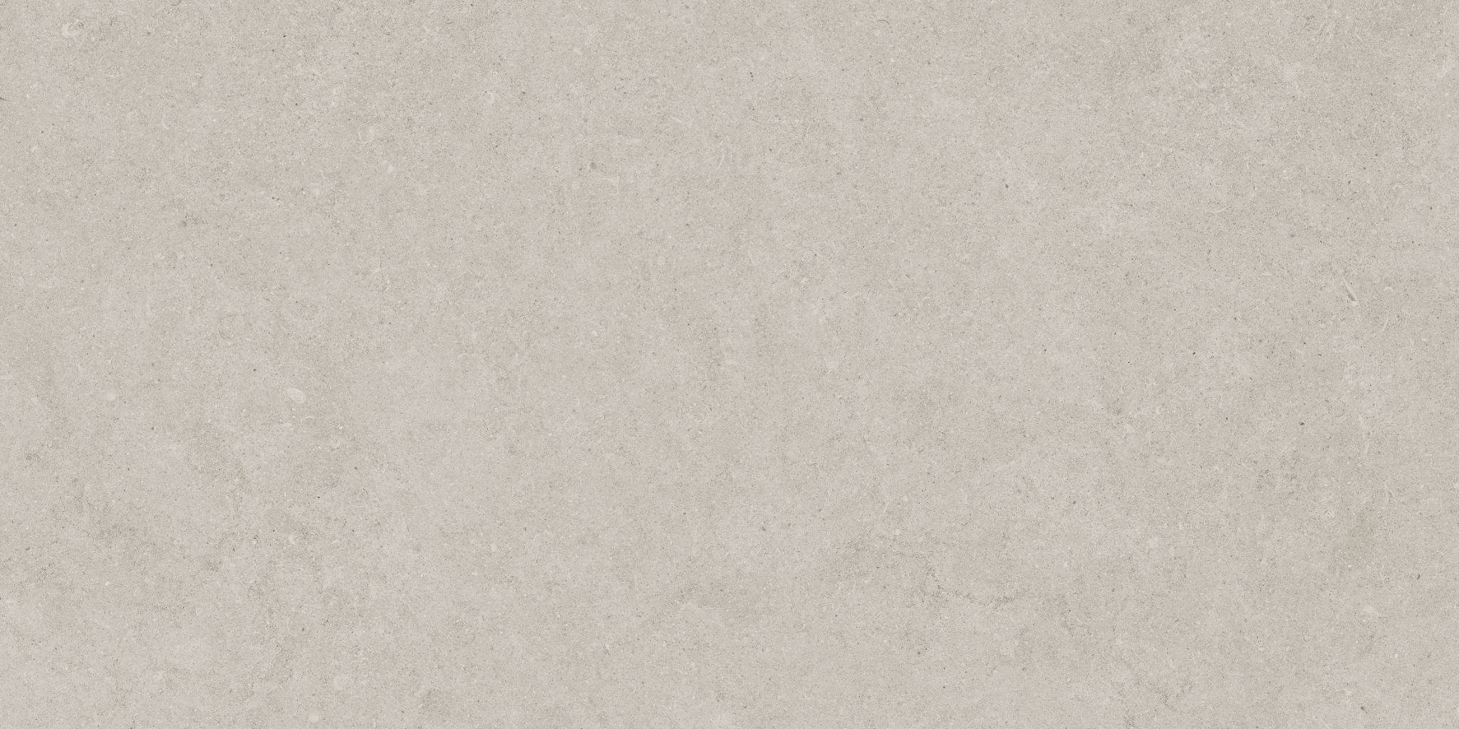 Lithoform 12X24 Crosscut Coast | In Home Stone