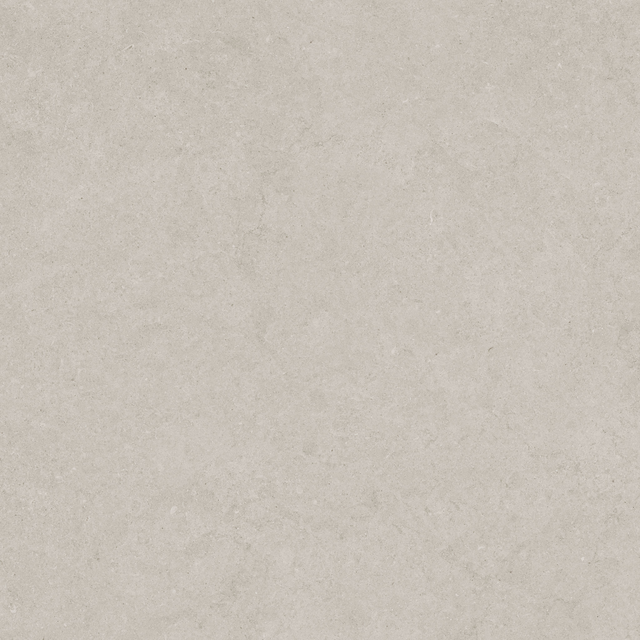 Lithoform 24X24 Crosscut Coast | In Home Stone