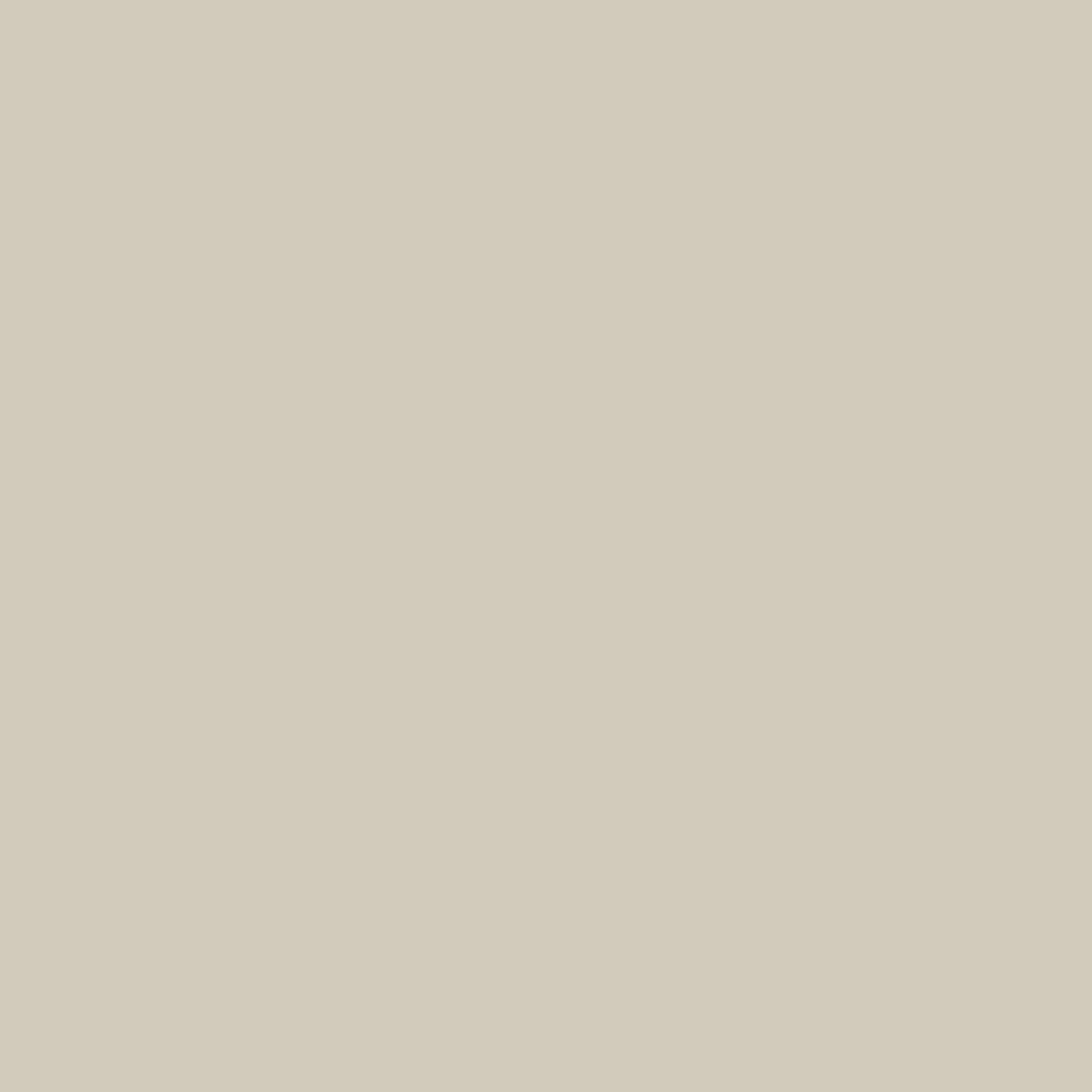 Monoforma 48x48 Oasis Polished | In Home Stone