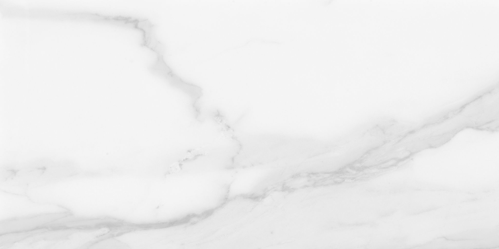 Plata 12x24 Statuario Brina Polished | In Home Stone