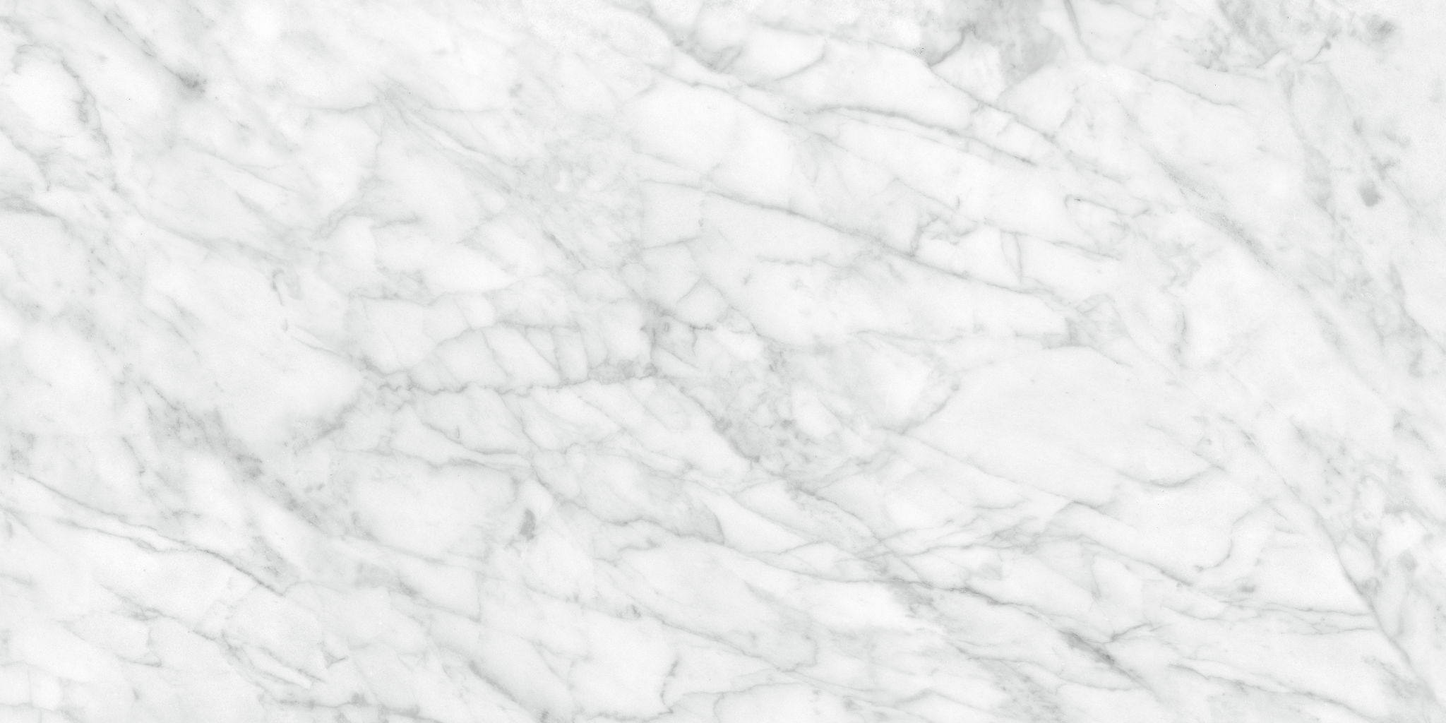 Plata 24x48 Carrara Abisso Matte | In Home Stone