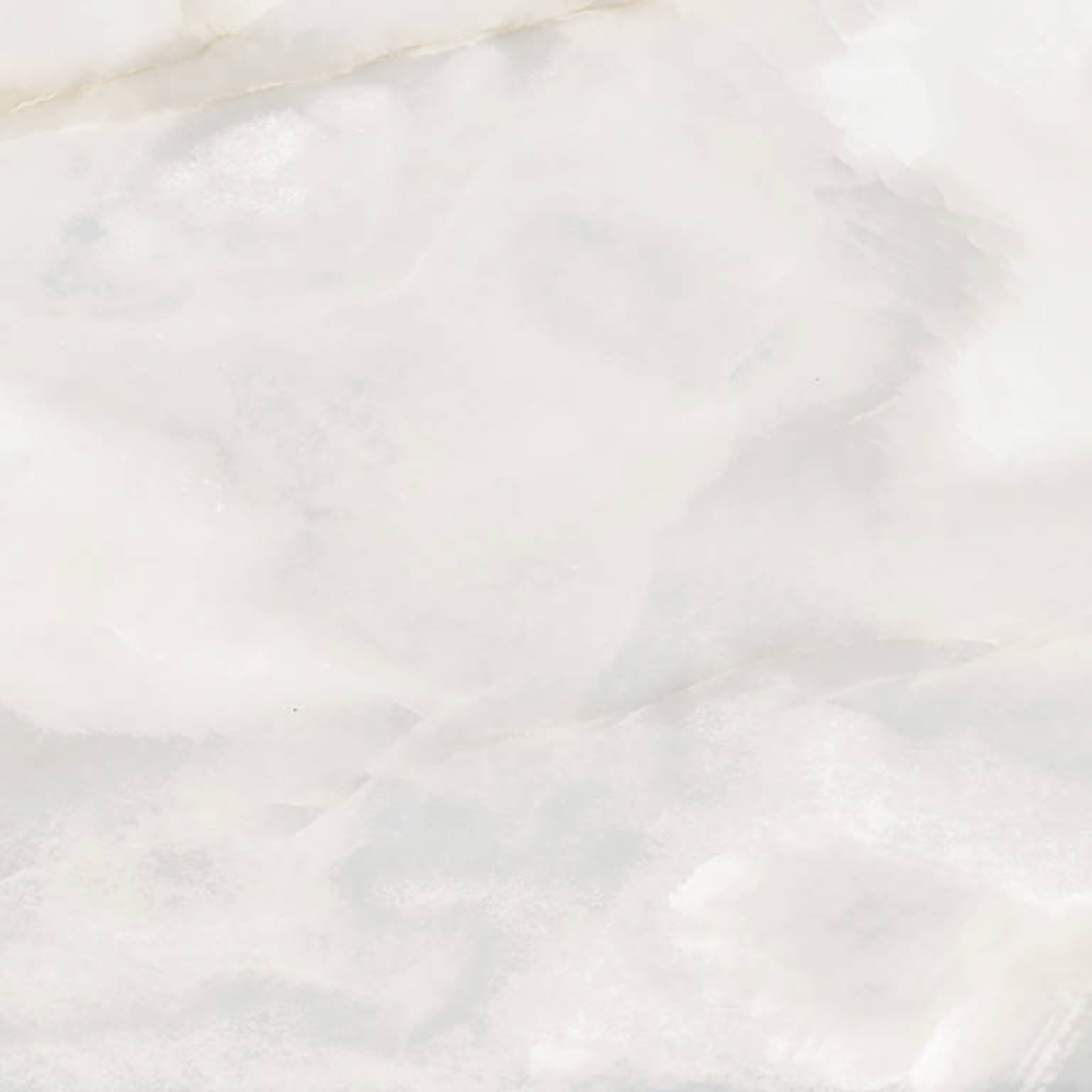 Rendezvous White Matte 24x24 | In Home Stone